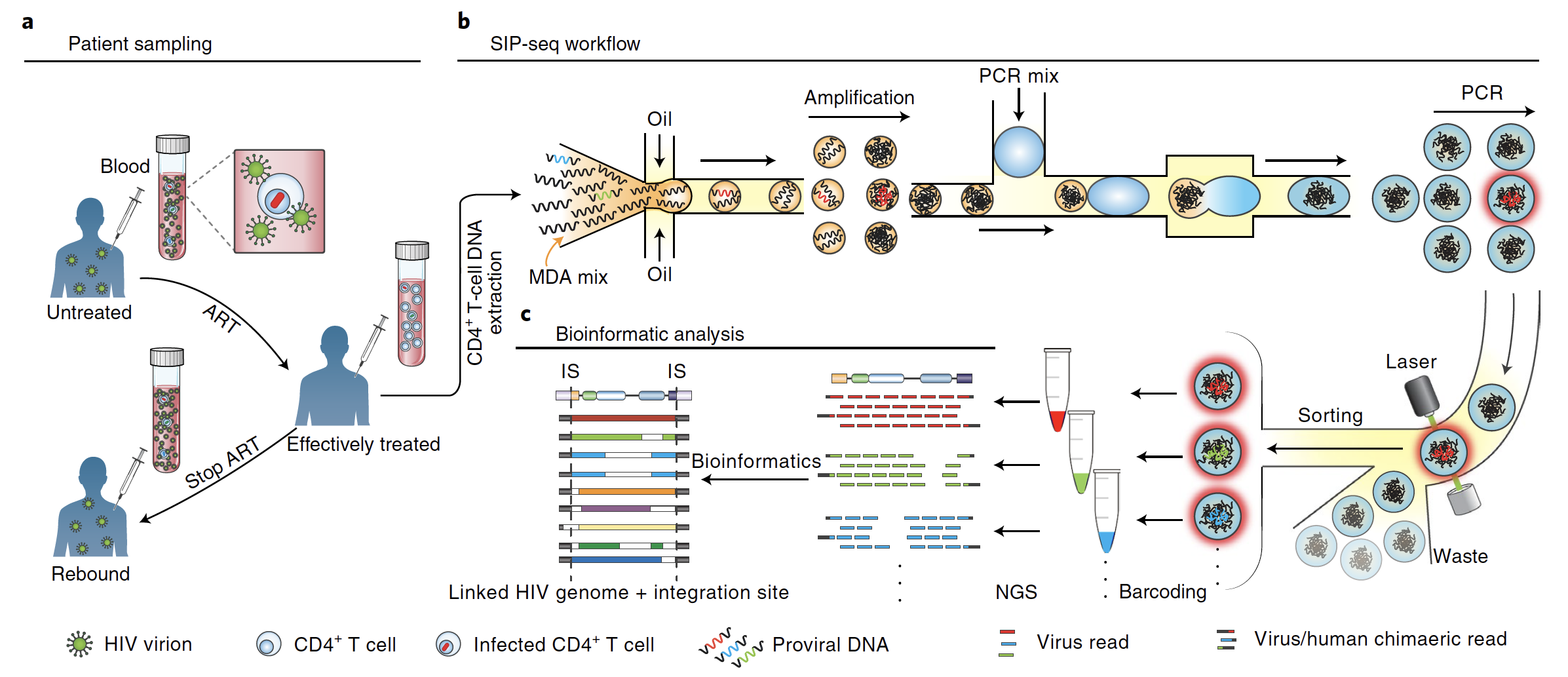 Droplet Microfluidics Enables High-throughput Sequencing Of Hiv Genomes 